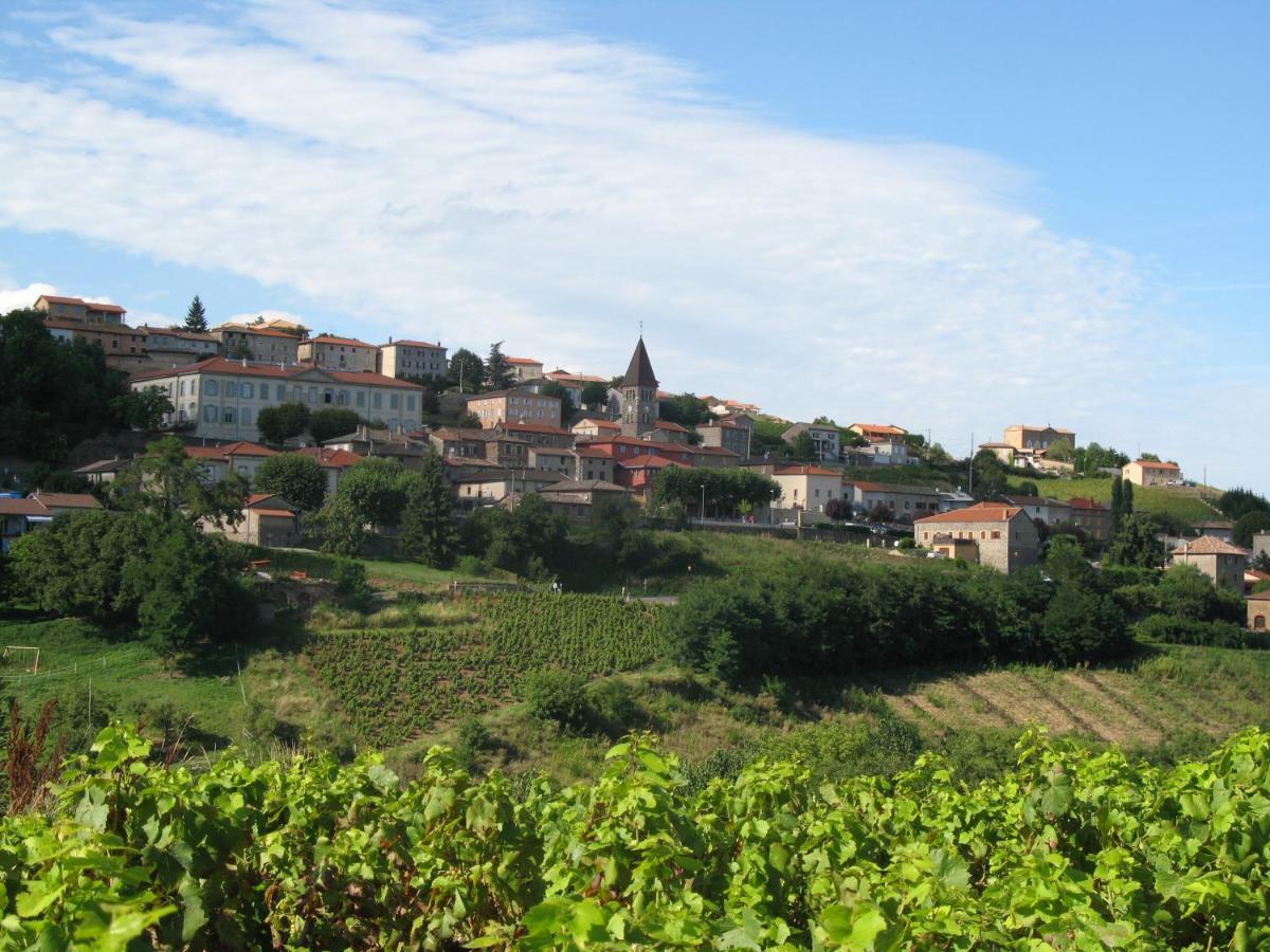 Domaine Des Gardette Hotel Vaux-en-Beaujolais Bagian luar foto